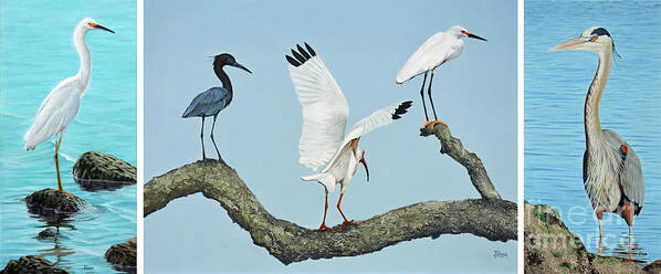 Egret Poster featuring the painting Seabirds Mug by Jimmie Bartlett