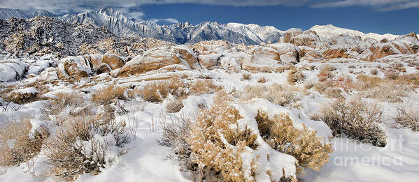 Dave Welling Poster featuring the photograph Panorama Winter Sunrise Alabama Hills Eastern Sierras #1 by Dave Welling
