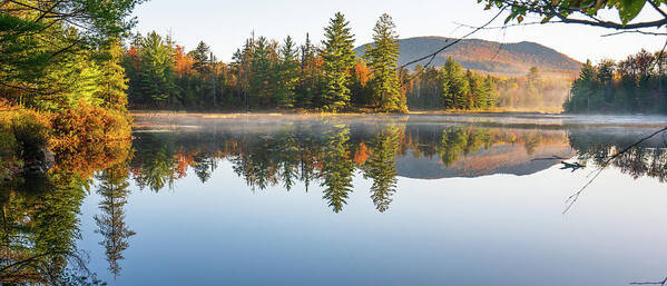 Fall Poster featuring the photograph Adirondacks Autumn at Tupper Lake 4 by Ron Long Ltd Photography