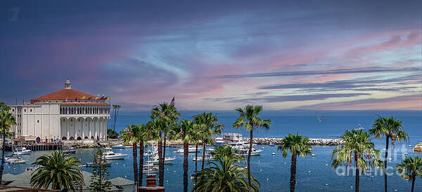 Catalina Island Poster featuring the photograph Catalina Harbor Casino by David Zanzinger