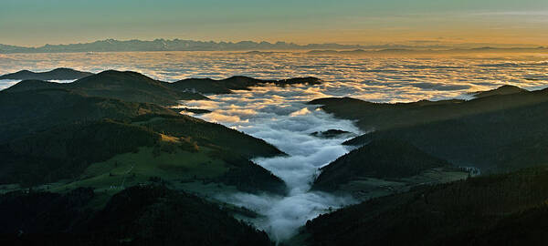 Black Forest Poster featuring the photograph Fog Tsunami by Philip Konstas