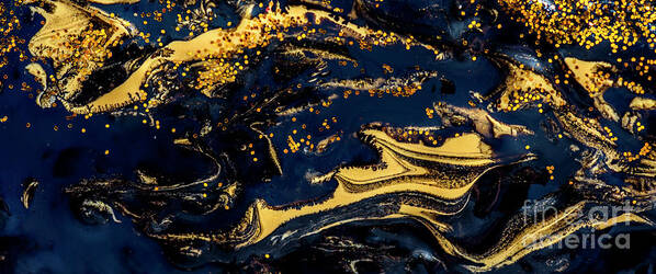 Paint Poster featuring the painting Luxury abstract design with gold and black by Jelena Jovanovic