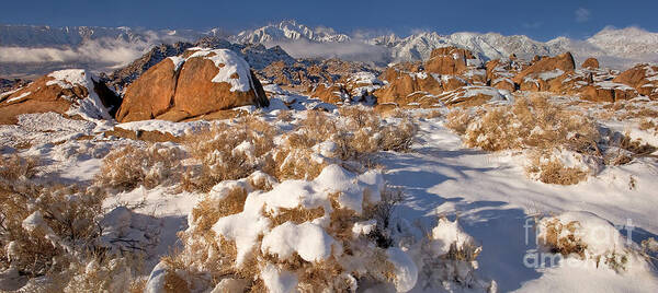 Dave Welling Poster featuring the photograph Panorama Winter Sunrise Alabama Hills Eastern Sierras by Dave Welling