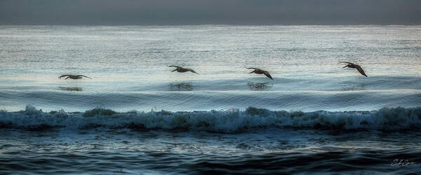 Seascape Poster featuring the photograph Skimming Over Sunrise Surf by Steven Sparks
