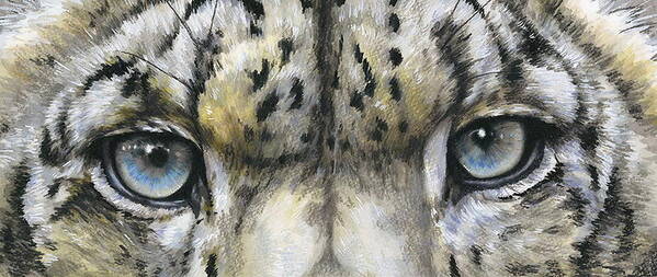 Feline Poster featuring the painting Snow Leopard Glare by Barbara Keith