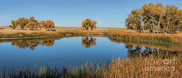  Reflection Poster featuring the photograph The Warmth of Autumn by Jim Garrison