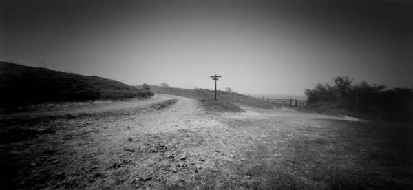 Pinhole Poster featuring the photograph Which path? by Will Gudgeon