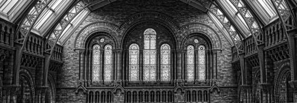 Natural History Museum Poster featuring the photograph Architectural Splendor by Heather Applegate