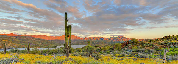 Cactus Poster featuring the photograph Bartlett Lake Sunset by Fred J Lord