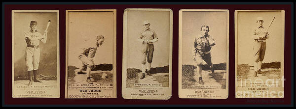  Pierpont Bay Archives Baseball Cards. Old Judge Cigarettes. Player R F Ryan Chicago 1887 Bat Batter Swing Pitch Pitcher History Fan Card Baseball Cards Sports Turn Of The Century Players Game Professional League Promo Photographs Poster featuring the photograph Baseball Cards. Old Judge Cigarettes. Player Sprague. Chicago 1888 by Pierpont Bay Archives