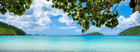 Caribbean Poster featuring the photograph Beautiful Caribbean beach by Raul Rodriguez