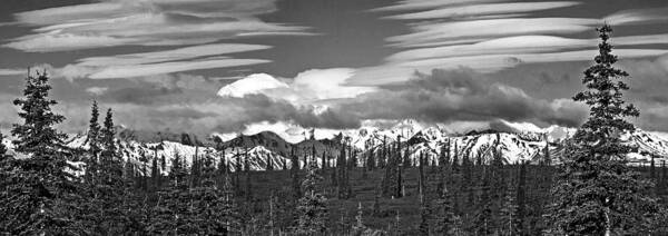 Denali Poster featuring the photograph Denali in Clouds by Angie Schutt