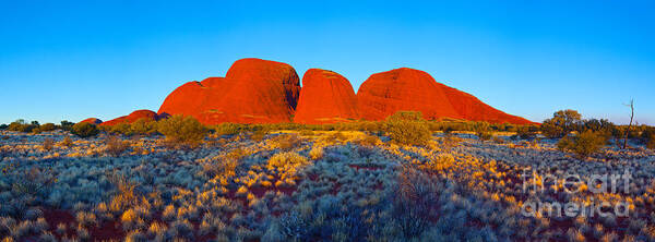 Kata Juta Olga's Northern Territory Central Australia Pano Panorama Landscape Australian Outback Poster featuring the photograph Central Australia #6 by Bill Robinson