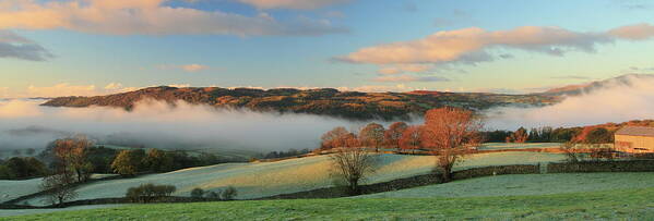 Grass Poster featuring the photograph Lake District Misty Morning by Bojangles Photography
