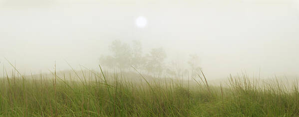 Fog Poster featuring the photograph Morning Fog On The Dunes by Owen Weber