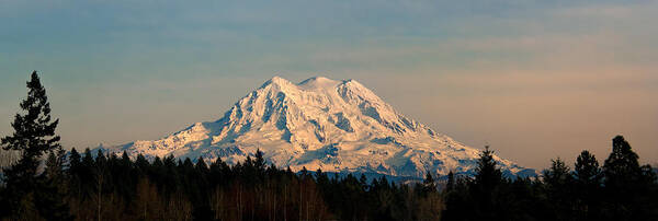 Mt Rainier Poster featuring the photograph Mt Rainier Winter Panorama by Mary Jo Allen