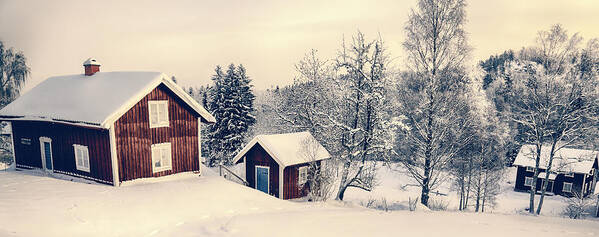 Cottages Poster featuring the photograph Old Cottages In A Snowy Rural Landscape by Christian Lagereek