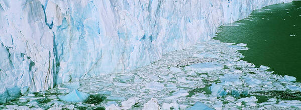 Andes Poster featuring the photograph Perito Moreno Glacier In The Los by Martin Zwick