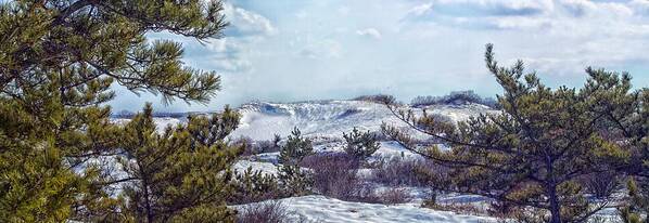Sandy Neck Poster featuring the photograph Snow Covered Dunes Photo Art by Constantine Gregory
