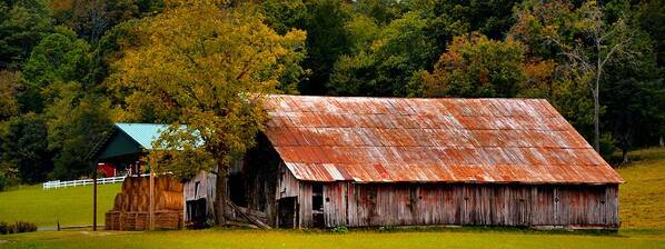 Barn Poster featuring the photograph Tennessee Country Barn by James Potts