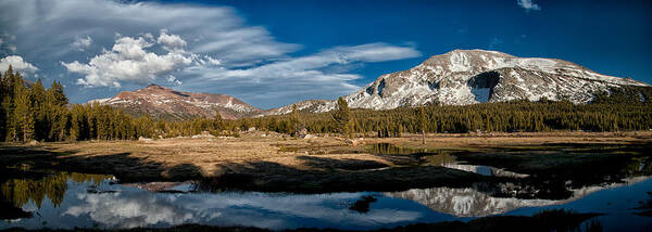 Water Poster featuring the photograph Tuolumne Meadows by Cat Connor