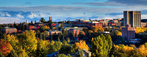 Washington State University In Autumn Poster featuring the photograph Washington State University in Autumn by David Patterson