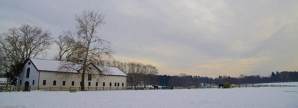 Widener Poster featuring the photograph Widener Horse Farm Panorama by Bill Cannon
