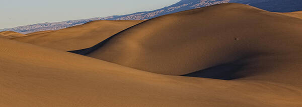 Light Poster featuring the photograph Mesquite Sand Dunes, Death Valley #1 by Robert Postma
