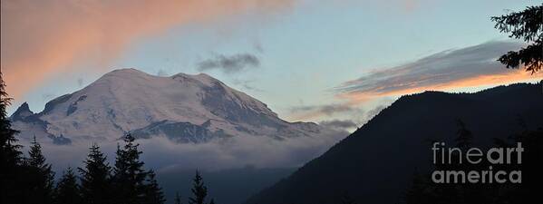 Mountain Poster featuring the photograph Summer sunset on Mt. Rainier by Frank Larkin