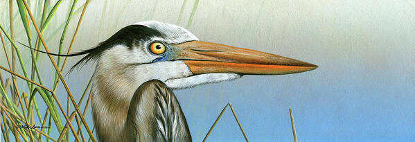 Florida Wildlife Poster featuring the painting Blue Heron by Mike Brown
