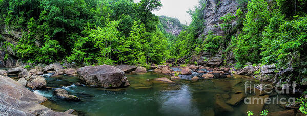 Tallulah Gorge Poster featuring the photograph Bottom of Tallulah Gorge by Barbara Bowen