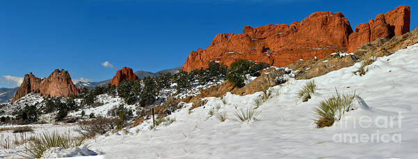 Garden Of The Cogs Poster featuring the photograph Colorado Winter Red Rock Garden by Adam Jewell