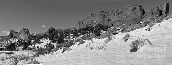 Black And White Poster featuring the photograph Colorado Winter Rock Garden Black And White by Adam Jewell