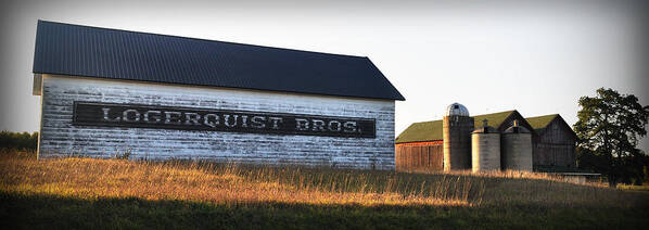 Fall Poster featuring the photograph Logerquist Bros. by Tim Nyberg