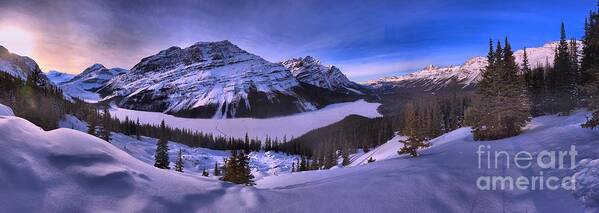 Peyto Lake Poster featuring the photograph Purple Skies Over Peyto Panorama by Adam Jewell