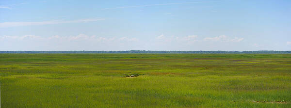 Richard Reeve Poster featuring the photograph Stone Harbor Wetlands by Richard Reeve