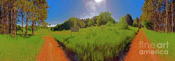 Wingate Poster featuring the photograph Wingate, Prairie, Pines Trail by Tom Jelen