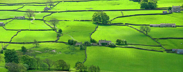 View Across The Yorkshire Dales Near Reeth In Swaledale Poster featuring the photograph 803-42 by Robert Harding Picture Library