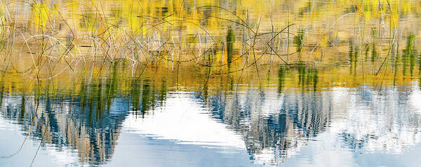 Photography Poster featuring the photograph Autumn Day Over Talbot Lake, Jasper by Panoramic Images