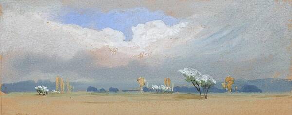 Landscape Poster featuring the painting Blossom in the Desert by Lilias Trotter
