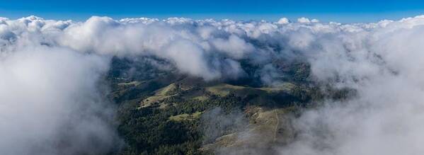 Landscapeaerial Poster featuring the photograph Clouds Drift Above The Mixed Evergreen by Ethan Daniels