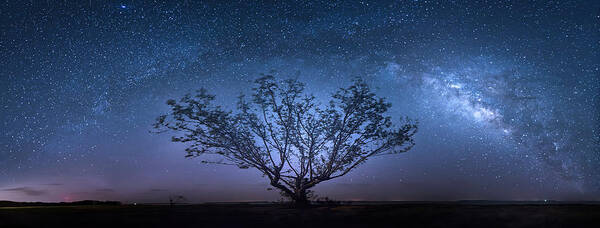 Milky Way Poster featuring the photograph Galatika by Mark Andrew Thomas