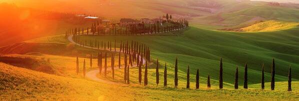 Tuscany; Villa; Green; Hills; Italy; Belvedere; Val D'orcia; Cypress; Trees; Beautiful; Countryside; Sunset; Rolling; Italia; Toscana; Rob Davies; Robert Davies; Landscape; Gold; Sun; Flare; Lens Flare; Panorama; Gladiator; Location; S Shape; Road; Classic Poster featuring the photograph Golden Tuscany II by Rob Davies