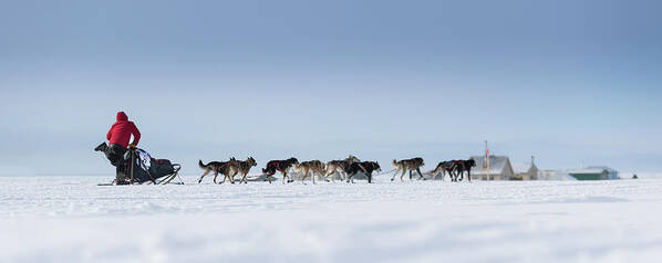 Musher Poster featuring the photograph Mushing into Nome by Scott Slone