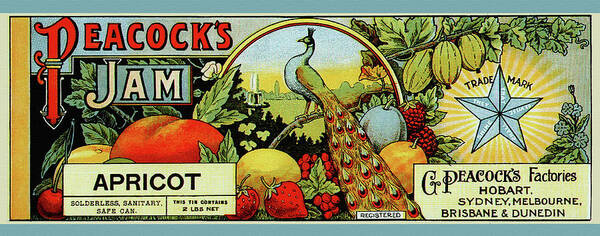 Peacock Poster featuring the painting Peacock's Jam - Apricot by Unknown