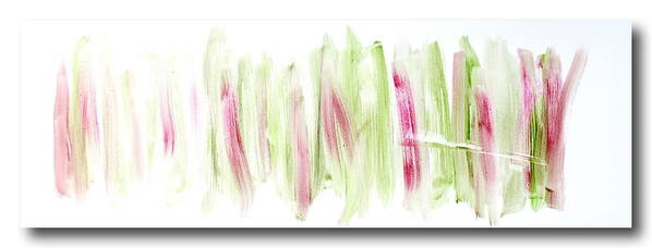 Oil. Abstract Poster featuring the painting Rhubarb in the Garden by Tom Atkins