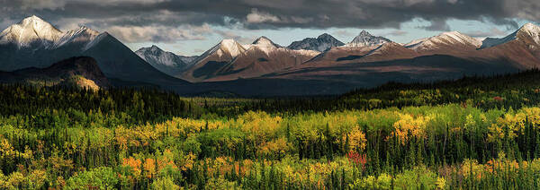 Alaska Poster featuring the photograph Alaska - autumn colors at Denali national park by Olivier Parent