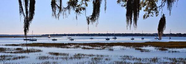 Beaufort South Carolina Waterfront Panorama Poster featuring the photograph Beaufort South Carolina Waterfront Panorama by Lisa Wooten