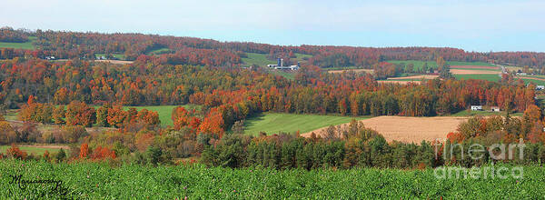 Landscape Poster featuring the photograph Central New York in the Fall by Mariarosa Rockefeller