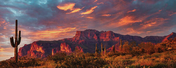 Arizona Poster featuring the photograph Into the West by Rick Furmanek